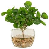 Eucalpytus in Bevel Vase, Clear-Accessories-High Fashion Home