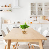 Eucalpytus in Bevel Vase, Clear-Accessories-High Fashion Home