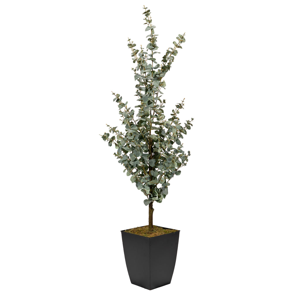 Eucalyptus Tree in Cardinal Planter, Black-Accessories-High Fashion Home
