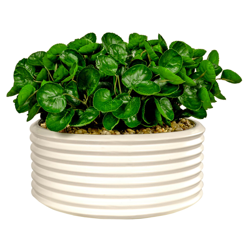 Eucalyptus in Armonica Bowl, White-Accessories-High Fashion Home