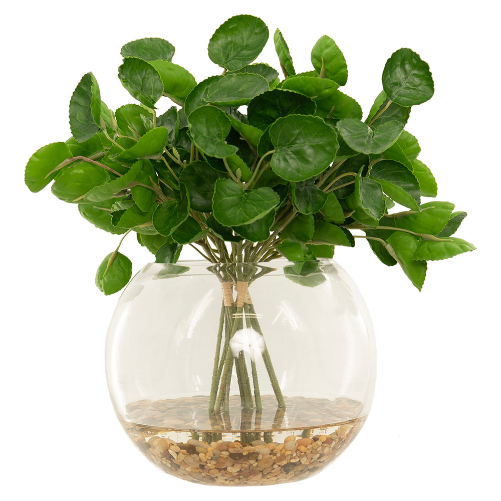 Eucalyptus in Orb Bowl, Clear-Accessories-High Fashion Home