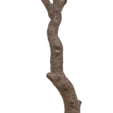 6'