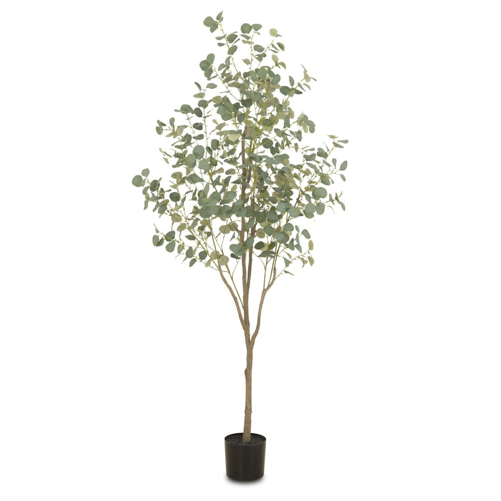 7'