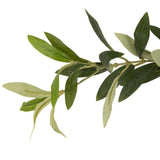 Faux Olive Tree by Four Hands-Accessories-High Fashion Home
