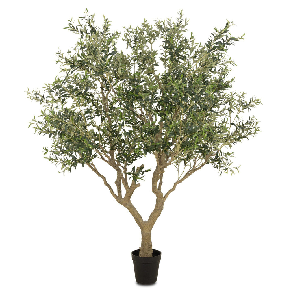 Faux Wide Olive Tree by Four Hands-Accessories-High Fashion Home