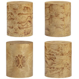 Fig Burl Drum Side Table, Natural-Furniture - Accent Tables-High Fashion Home