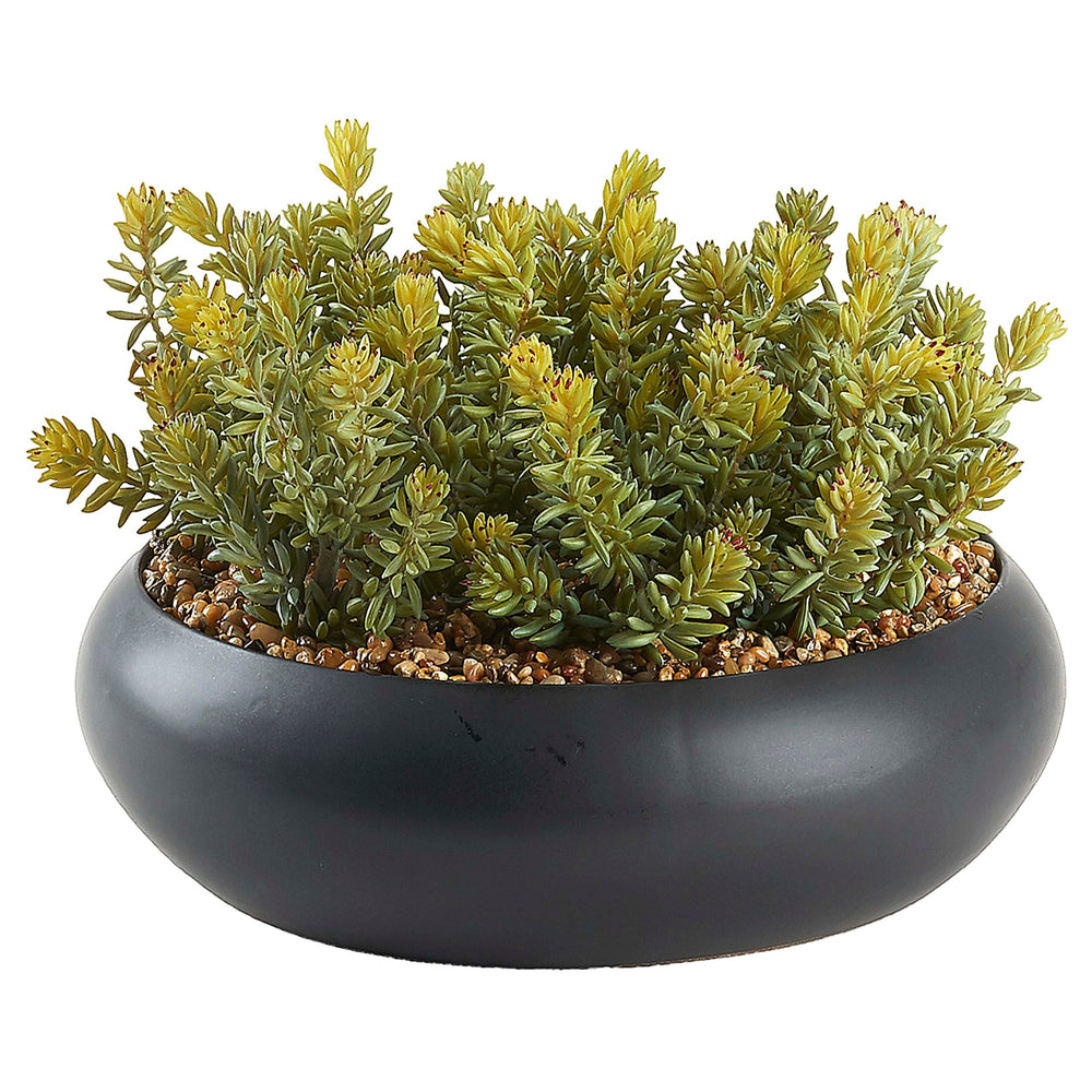 Flocked Succulents in Simply Low Bowl, Black-Accessories-High Fashion Home