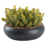 Flocked Succulents in Simply Low Bowl, Black-Accessories-High Fashion Home
