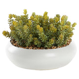 Flocked Succulents in Simply Low Bowl, White-Accessories-High Fashion Home