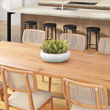 Flocked Succulents in Simply Low Bowl, White-Accessories-High Fashion Home
