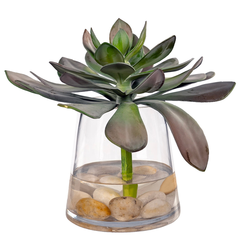 Frosted Echeveria in Tapered Glass, Clear-Accessories-High Fashion Home