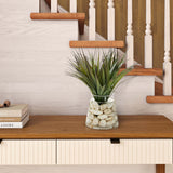 Grass in Tapered Glass Vase, Clear-Accessories-High Fashion Home