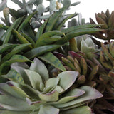 Greystone Outdoor Succulent, Matte Black-Accessories-High Fashion Home