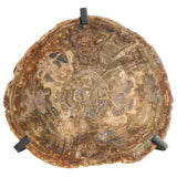 Griffith Park Bunching Table, Petrified Wood-Furniture - Accent Tables-High Fashion Home