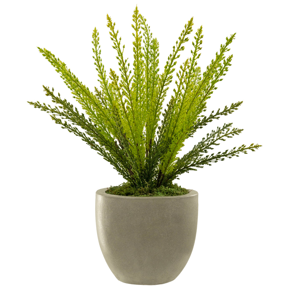 Heather Fern Bush in Small Newport Planter, Grey-Accessories-High Fashion Home