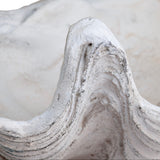 Henley Shell Sculpture, White-Accessories-High Fashion Home