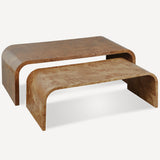 Liam Coffee Table Set of 2, Burl