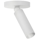 Luxe Pivot Flush Mount, White