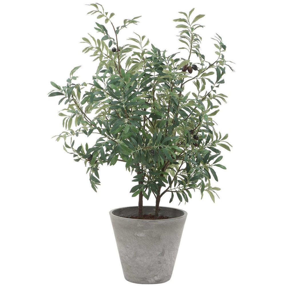 Marisol Potted Olive, Stone Gray-Accessories-High Fashion Home