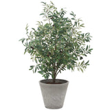 Marisol Potted Olive, Stone Gray-Accessories-High Fashion Home