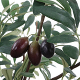 Marisol Potted Olive, Stone Gray-Accessories-High Fashion Home