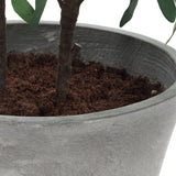 Marisol Potted Olive, Stone Gray-Accessories-High Fashion Home