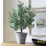 Marisol Potted Olive, Stone Gray-Accessories-High Fashion Home