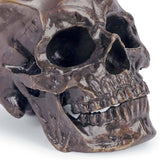 Metal Skull, Antique Bronze-Accessories-High Fashion Home