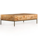 Mitzie Coffee Table, Amber