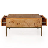 Mitzie Coffee Table, Amber