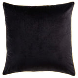 Noah Pillow, Gold by Cloud9