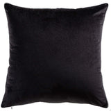 Noah Pillow, Silver by Cloud9