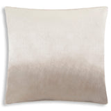 Noah Pillow, Silver by Cloud9
