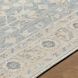 Nabela Noor Home x Livabliss Rug Asha NBAS-2304, Sky Blue