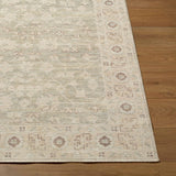 Nabela Noor Home x Livabliss Rug Asha NBAS-2305, Sage Multi