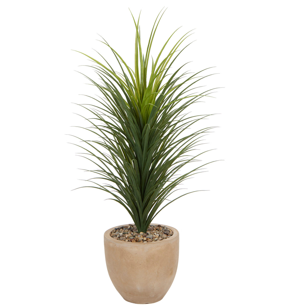 Panicum Grass in Small Grove Planter, Natural-Accessories-High Fashion Home