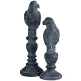 Parrott Statues, Black, Set of 2-Accessories-High Fashion Home