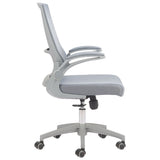 Pater Office Chair, Gray
