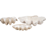 Pearlized Shell Bowl, Ivory-Accessories-High Fashion Home