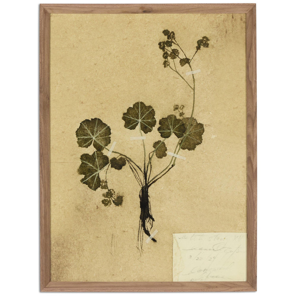 Petite Study No. VI by Hannah Winters by Amber Lewis x Four Hands