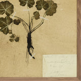 Petite Study No. VI by Hannah Winters by Amber Lewis x Four Hands