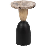 Petrified Wood Accent Table, Brown