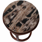 Petrified Wood Top Accent Tables, Brown, Set of 2
