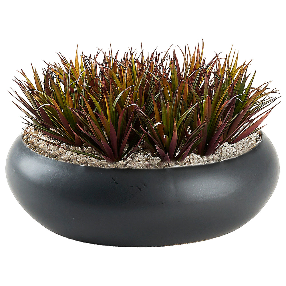 Pineapple Succulents in Simply Low, Black-Accessories-High Fashion Home