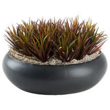 Pineapple Succulents in Simply Low, Black-Accessories-High Fashion Home