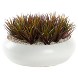 Pineapple Succulents in Simply Low, White-Accessories-High Fashion Home