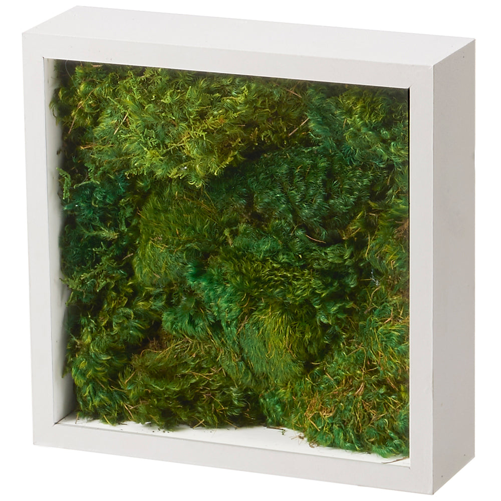 Preserved Mood Moss in Shadow Box, White-Accessories-High Fashion Home