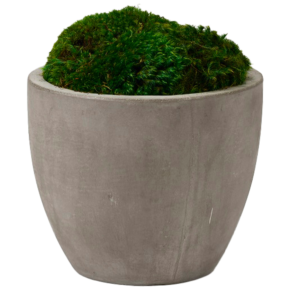 Preserved Mood Moss in Small Cement Planter, Grey-Accessories-High Fashion Home