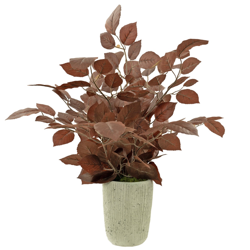 Red Beech Leaf Spray in Ceramic Vase, Green-Accessories-High Fashion Home