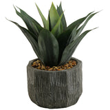 Red/Green Agave in Ridge Planter, Grey-Accessories-High Fashion Home